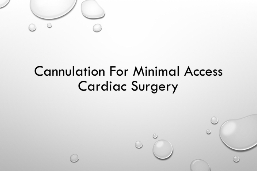 Invited lecture on Cannulation, cardioplegia in minimally invasive cardiac surgery at the Annual EACTS meeting in Vienna.