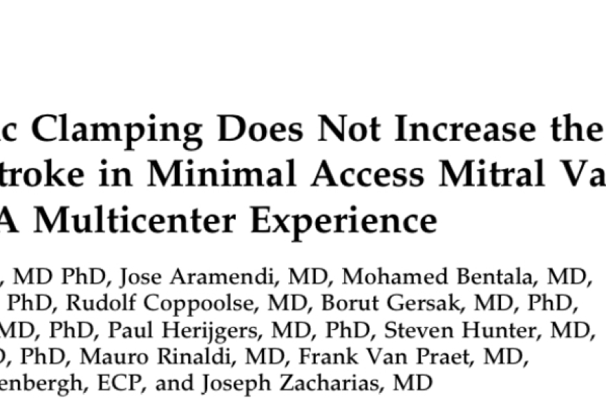 Endoaortic Clamping Does Not Increase the Risk of Stroke in Minimal Access Mitral Valve Surgery: A Multicenter Experience.