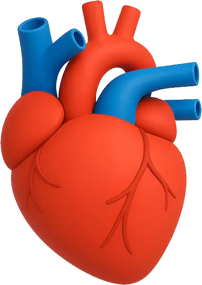 Consultant Cardiothoracic Surgeon | Joseph Zacharias