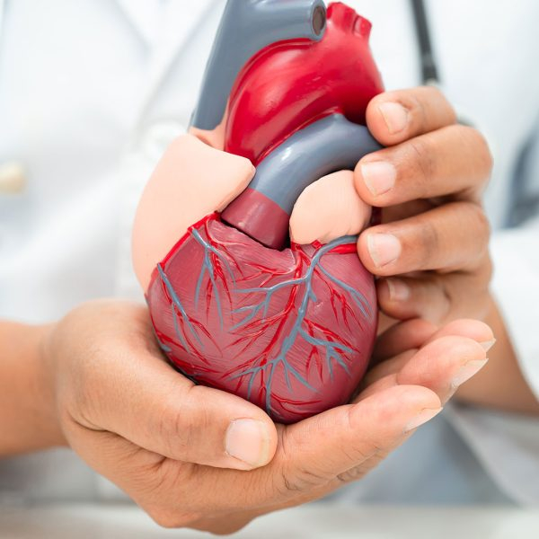 Consultant Cardiothoracic Surgeon | Joseph Zacharias
